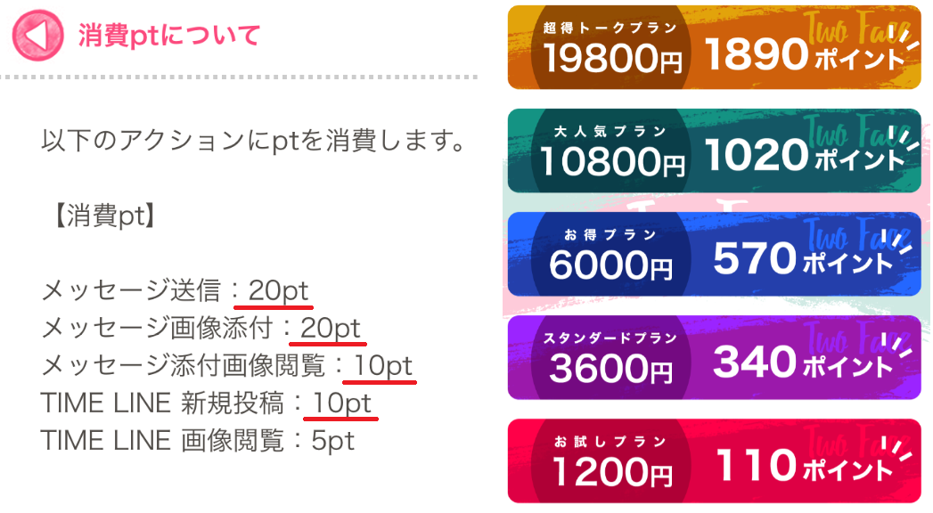 Two Face～あなたへ送る人生大逆転マッチングアプリ～料金体系