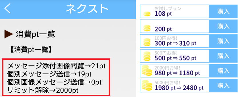 サクラ詐欺出会い系アプリ「ネクスト」料金体系