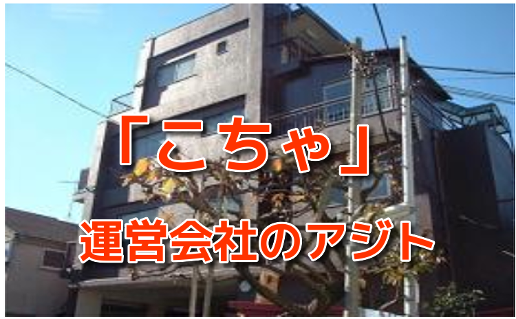 こちゃ 高機能でシンプルなお相手探しチャット運営会社場所