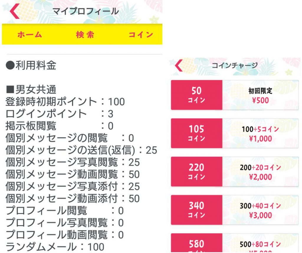 悪質出会い系アプリ「パインチャット」料金体系