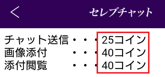 セレブチャット　人妻熟女の即出会い料金体系