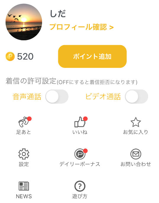ビデオ通話-即電相手が見つかるVoiceでひまつぶしのプロフィール