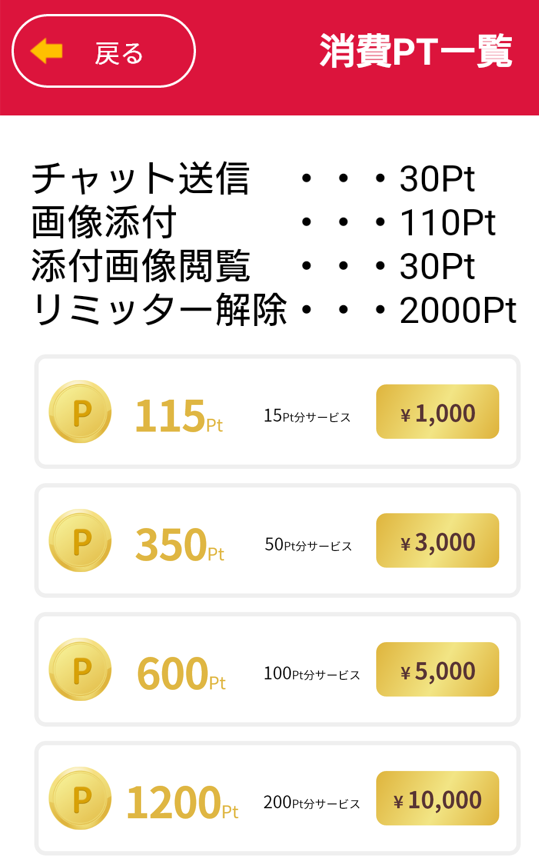 美人チャットの料金